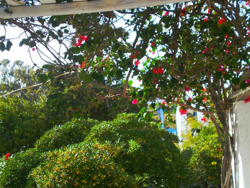 Paros Rita Studios Piso Livadi Exterior foto